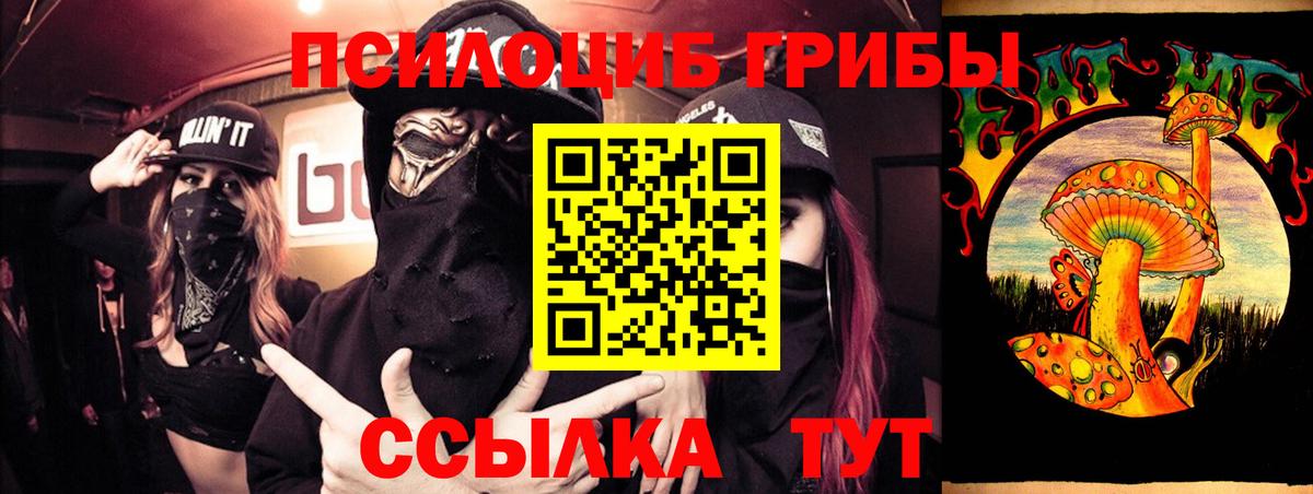 Междуреченск  Псилоцибиновые грибы прущие грибы  купить наркоту  Вход с VPN 